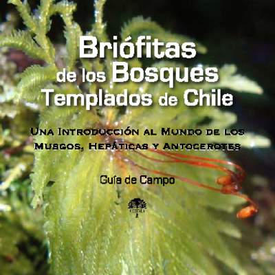 Guía de campo briófitas de los bosques templados de Chile - Una introducción al mundo de los musgos, hepáticas y antocerotes.