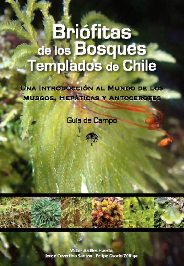 Guía de campo briófitas de los bosques templados de Chile - Una introducción al mundo de los musgos, hepáticas y antocerotes.