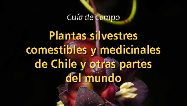 Guía de campo plantas silvestres comestibles y medicinales de Chile y otras partes del mundo