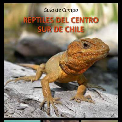 Guía de campo reptiles del centro sur de Chile