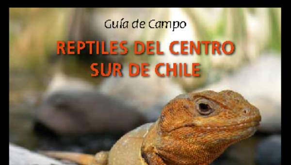 Guía de campo reptiles del centro sur de Chile