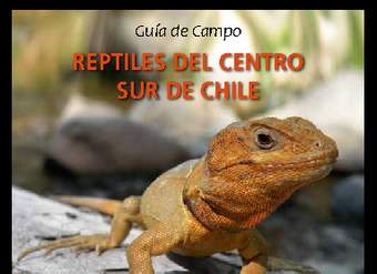 Guía de campo reptiles del centro sur de Chile