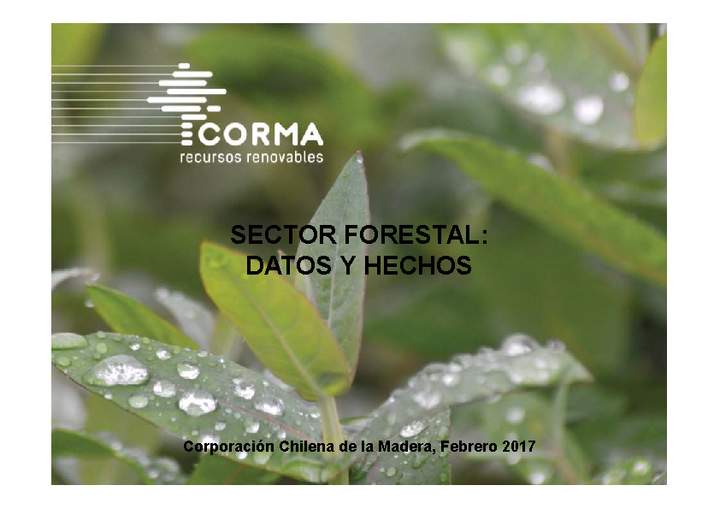 Sector forestal datos y hechos