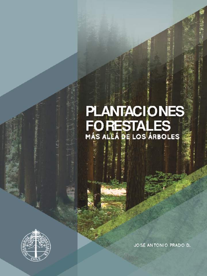 Plantaciones forestales. Más allá de los árboles