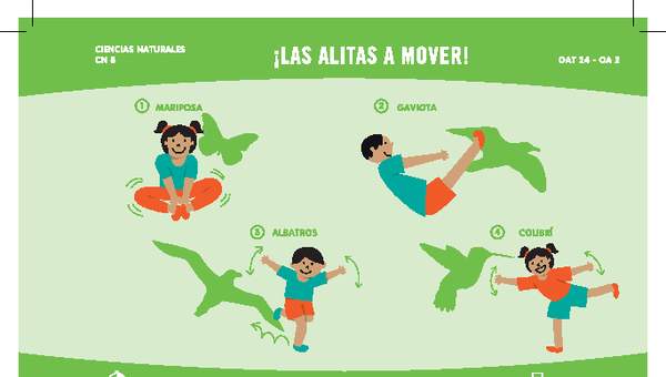 ¡Las alitas a mover!