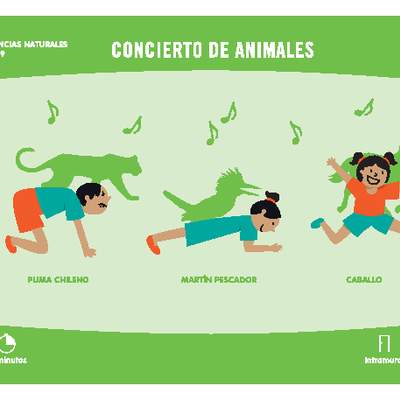 Concierto de animales