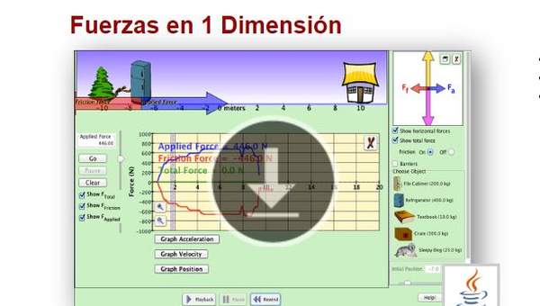 Fuerzas en 1 Dimensión