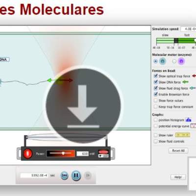 Motores Moleculares