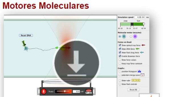Motores Moleculares