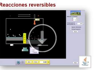 Reacciones reversibles