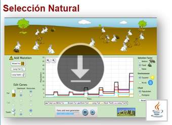 Selección Natural