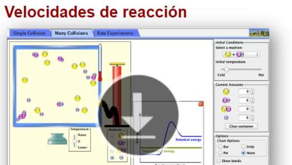 Velocidades de reacción