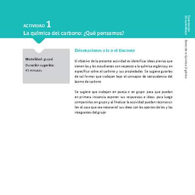 Sugerencia para el profesor: Actividad 1. La química del carbono, ¿qué pensamos?