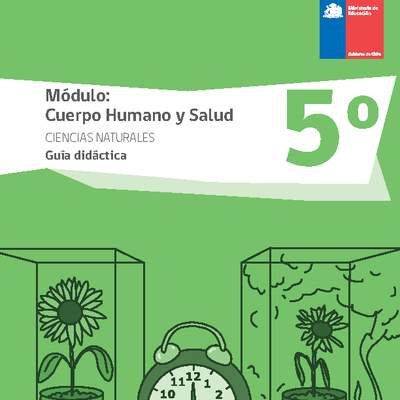 Guía didáctica: Cuerpo humano y salud, Ciencias Naturales 5° básico. Guía didáctica: Cuerpo humano y salud, Ciencias Naturales 5° básico.