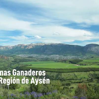Sistemas ganaderos en la región de Aysén