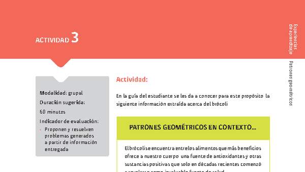 Sugerencia para el profesor: Actividad 3