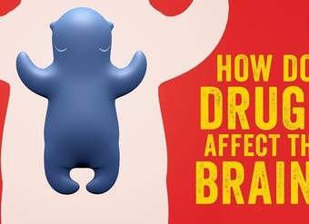 How do drugs affect the brain? - Sara Garofalo