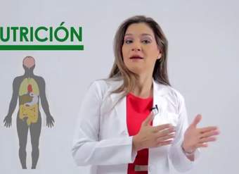 Nutrición: ¿Qué es la nutrición?