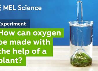 "Photosynthesis" experiment (How to make oxygen at home)