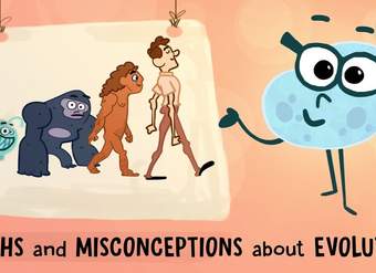 Myths and misconceptions about evolution - Alex Gendler