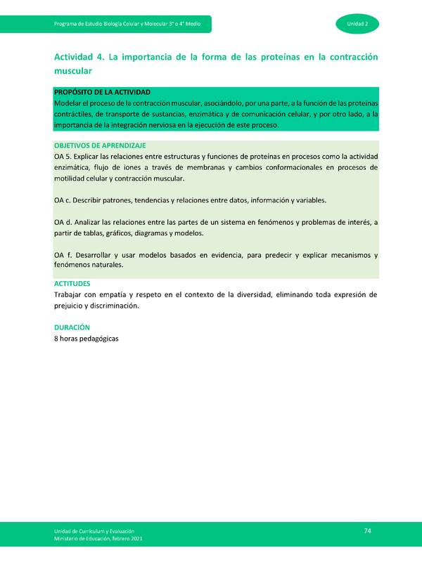 Actividad 4: La importancia de la forma de las proteínas en la contracción muscular