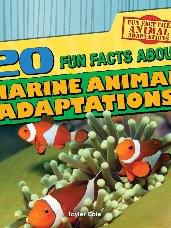 20 Fun Facts About Marine Animal Adaptations