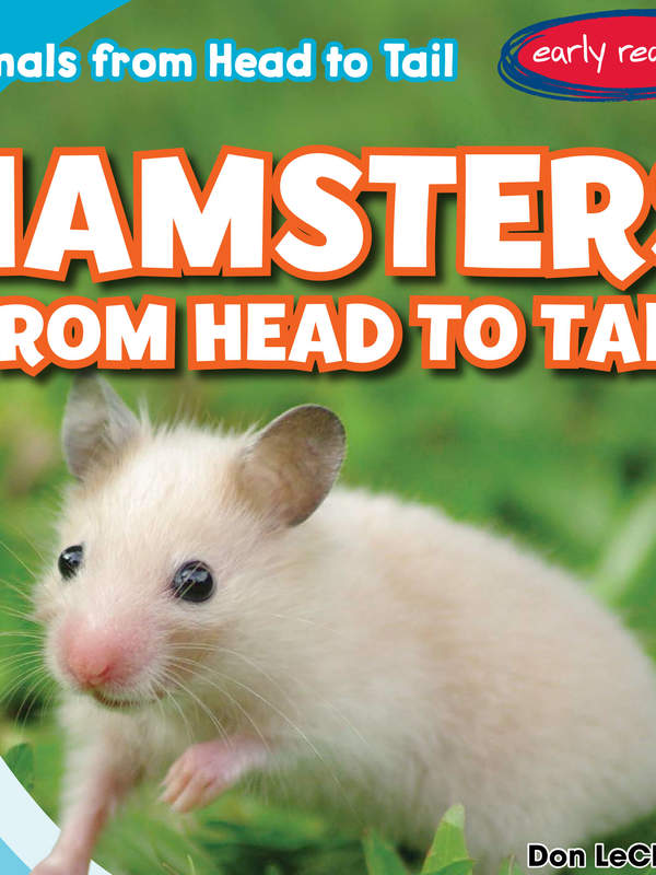 Hamsters from Head to Tail