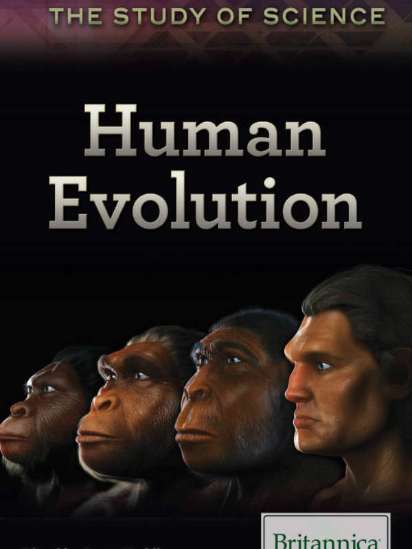 Human Evolution