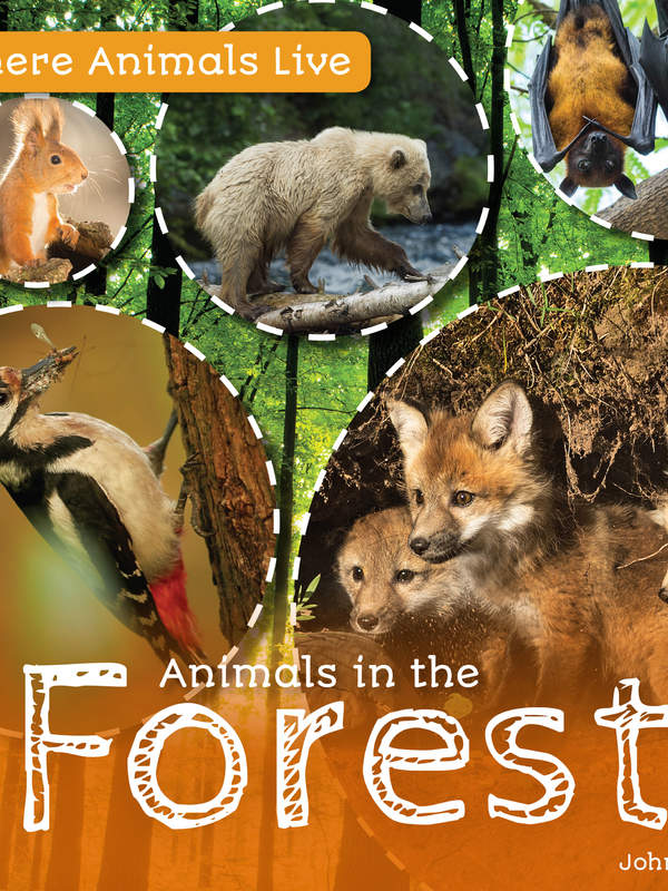 Animals in the Forest