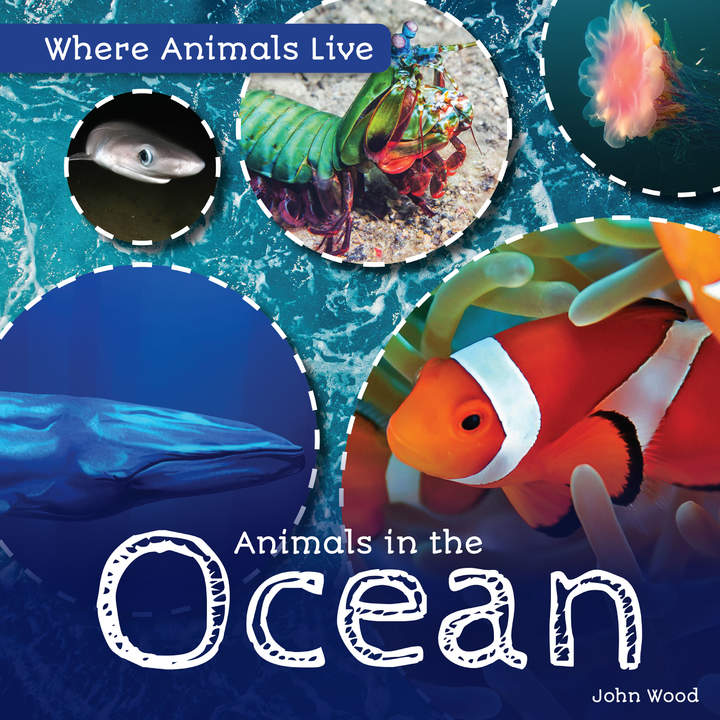 Animals in the Ocean