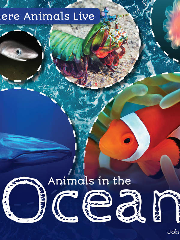 Animals in the Ocean
