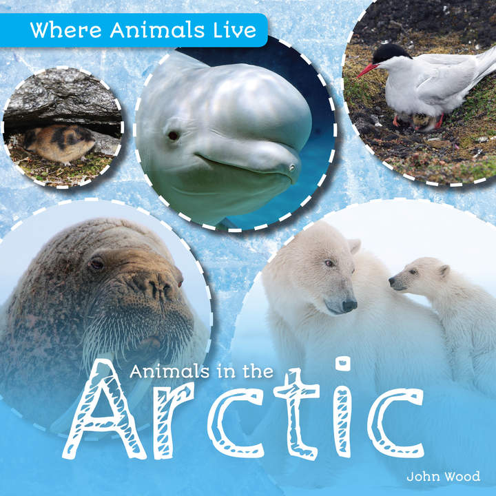 Animals in the Arctic