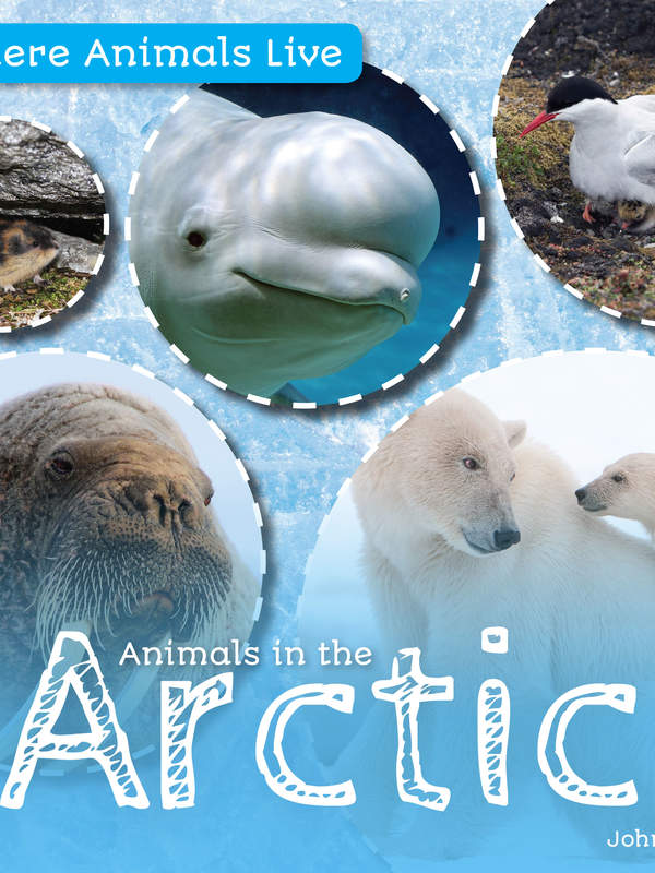 Animals in the Arctic
