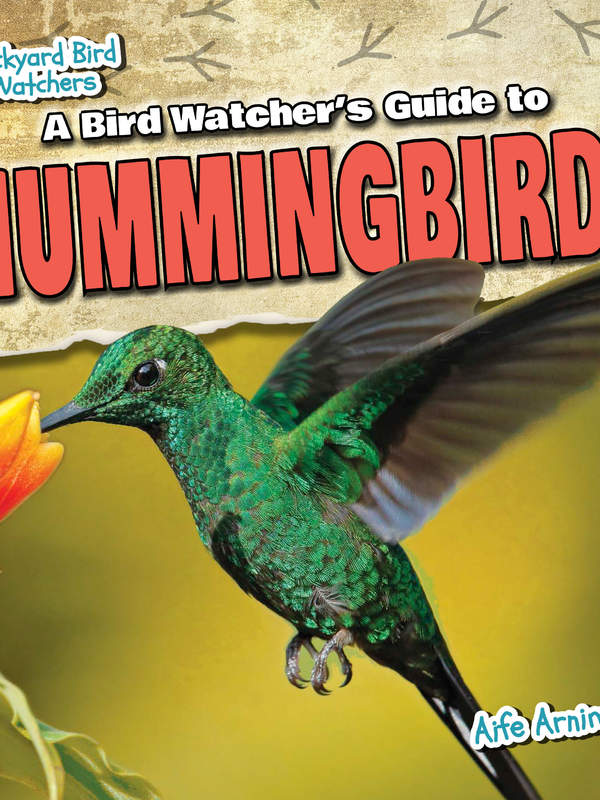 A Bird Watcher's Guide to Hummingbirds