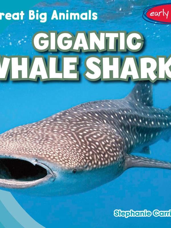 Gigantic Whale Sharks