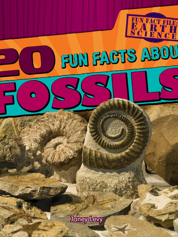 20 Fun Facts About Fossils