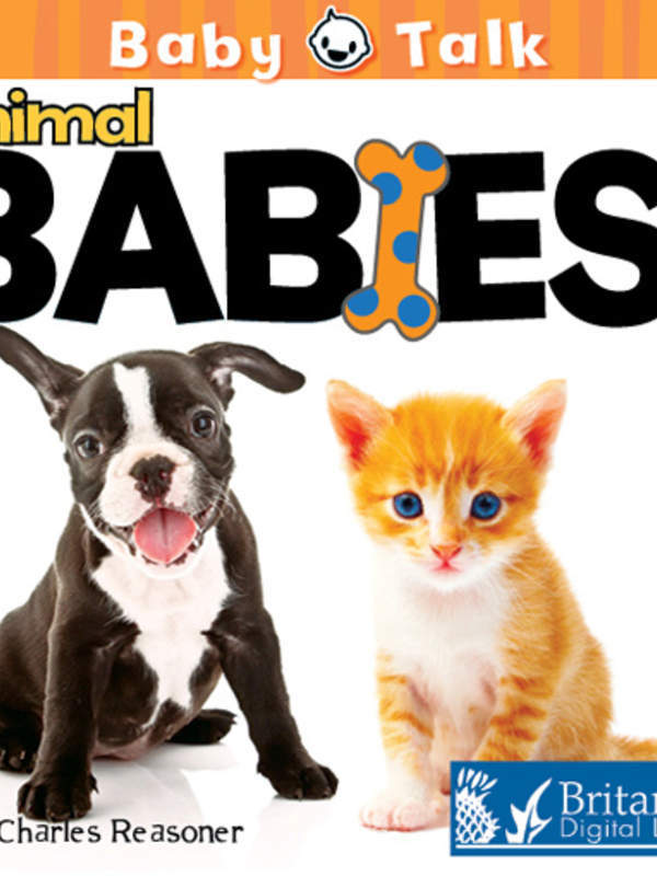 Animal Babies!