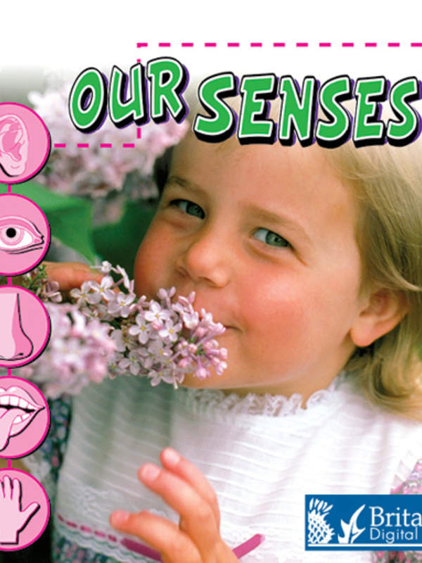 Our Senses