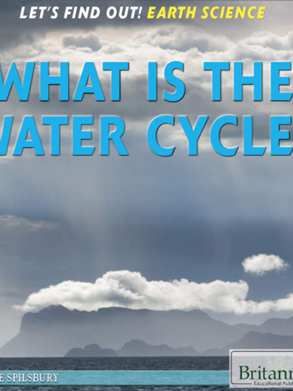 What Is the Water Cycle?