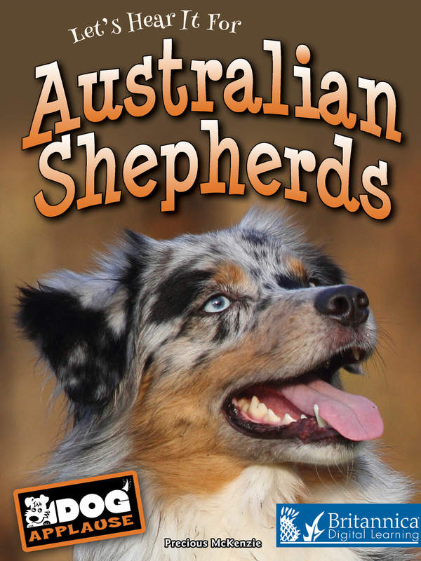 Australian Shepherds