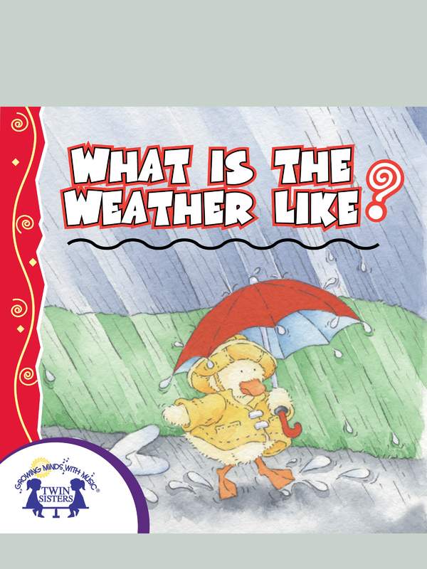 What is the Weather Like Today?