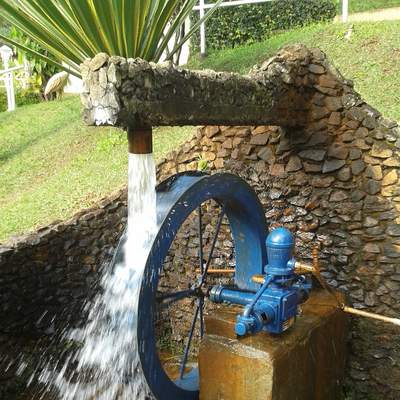  Unidad 4: Evolución