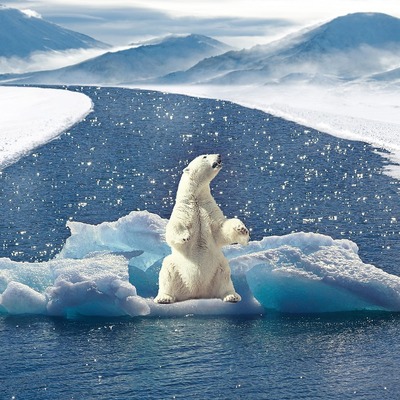  Unidad 4: Evolución