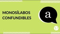 Cápsula - "Monosílabos confundibles" - Lenguaje