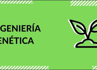 Cápsula - "Ingeniería genética" - Biología