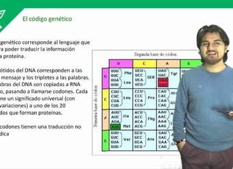 Biología - Mecanismos de Expresión Genética II - Clase N°25 2019