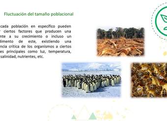 Cápsula - "Ecología 1" - Biología