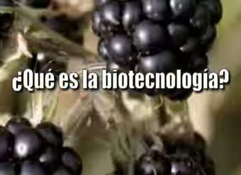 Biotecnología