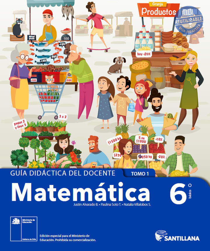 Matemática 6° básico, Santillana, Guía didáctica del docente Tomo 1