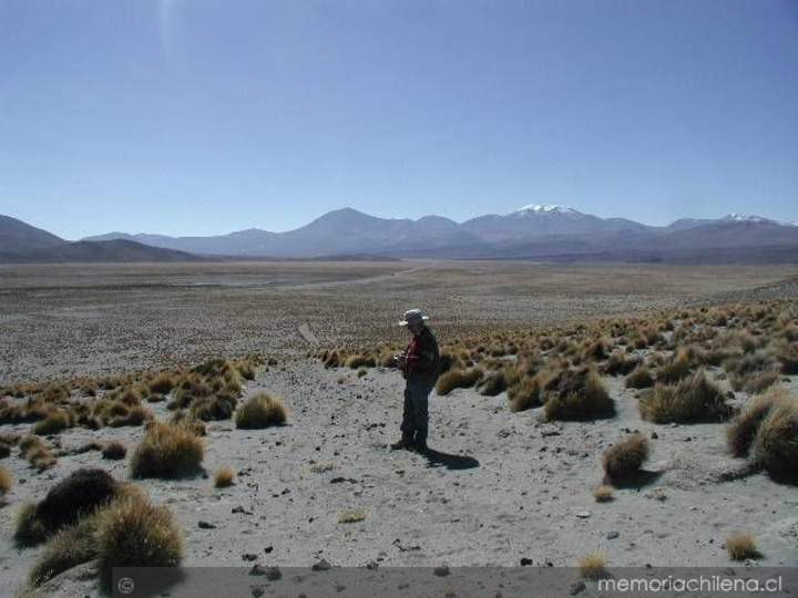 El Camino del Inca en el Norte Grande